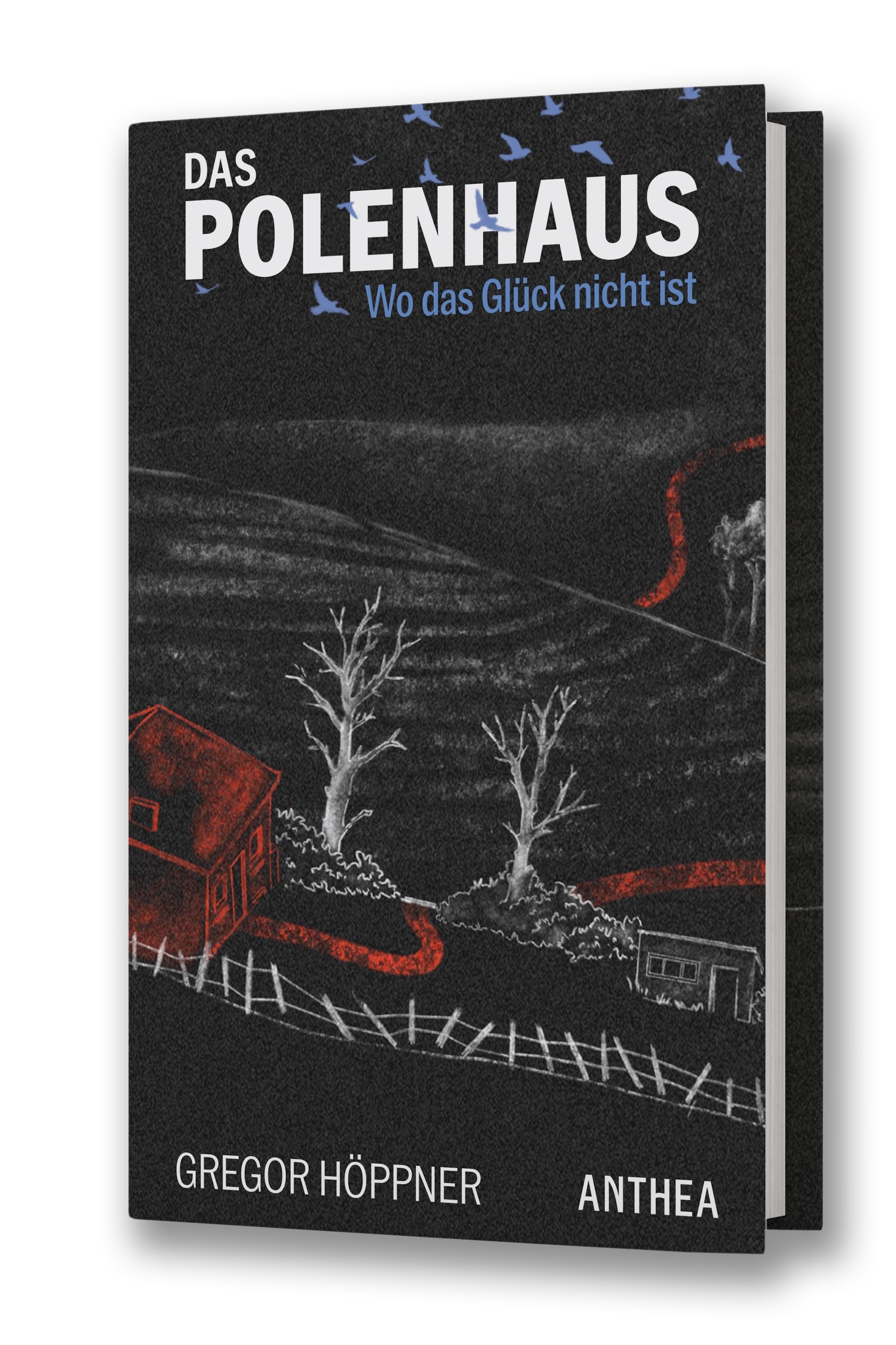 Polenhaus_Höppner_Mockup (jpg).jpg